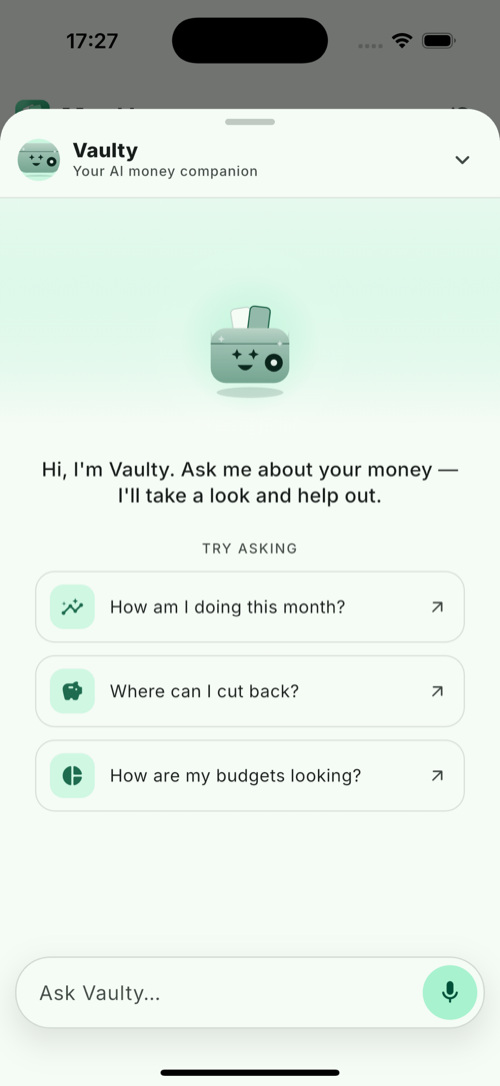 Chat with Vaulty, your money companion